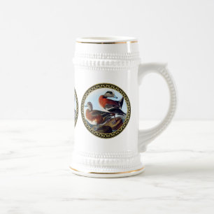 American Widgeon anka vid sten Sejdel