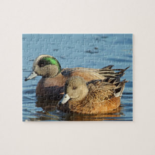 American Widgeon Ankor (Drake och Hen) Pussel