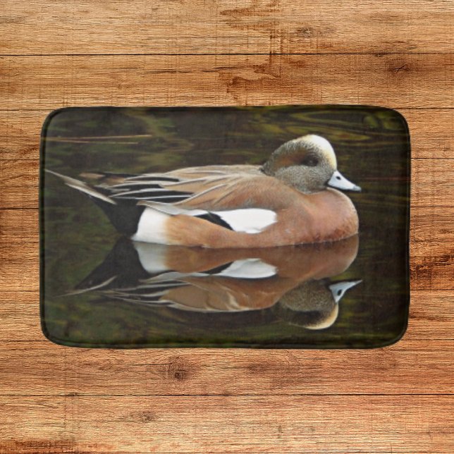 American Wigeon Anka på Pond Badrumsmatta (In Situ)
