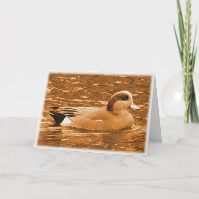 American Wigeon Tack for Helping Kort (Framsida)