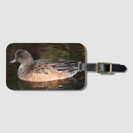 American Wigeon Wildlife Photo Bagagebricka