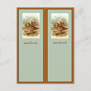 American Woodcock Bookmark Vykort