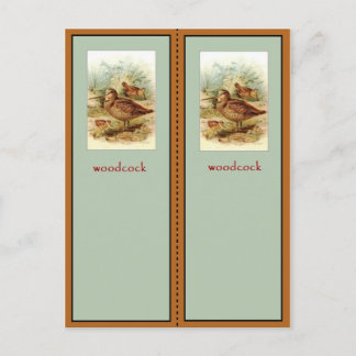 American Woodcock Bookmark Vykort
