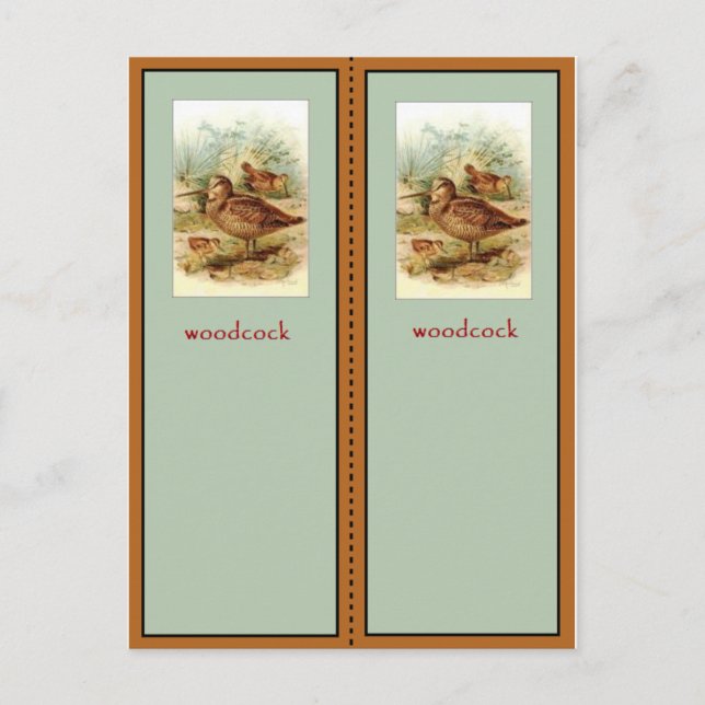 American Woodcock Bookmark Vykort (Framsida)