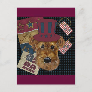 AMERICANA AIREDALE VYKORT