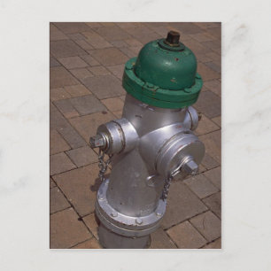 Americana (hydrant), Florida, USA Vykort