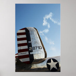 Americana luft poster