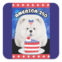 AMERIKA 250  - CREAM Chow
