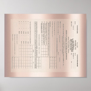 Amerika bildar första inkomstskatt rosa guld 1040 poster