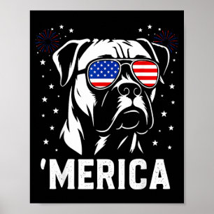 Amerika Boxer Hund Amerikansk Flagga Singlar Patri Poster