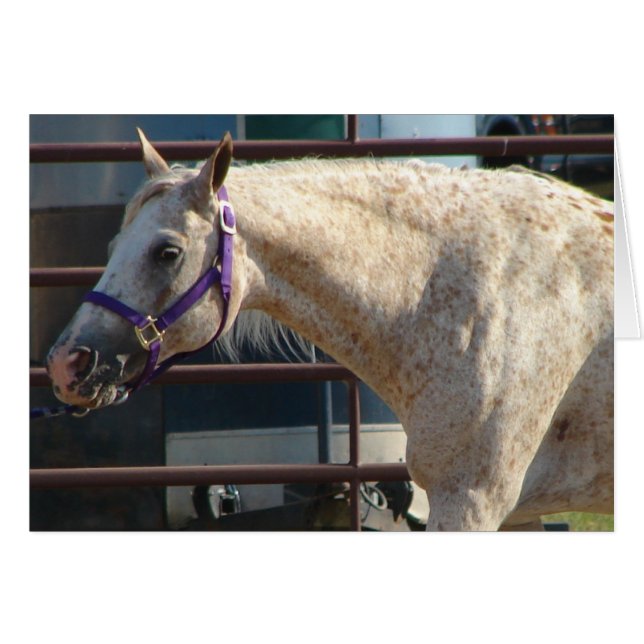 Amerika Hälsningskort (Framsidan Horizontal)