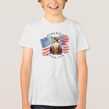 Amerika sedan 1776 akvarellflagga/örnfyrverkerier