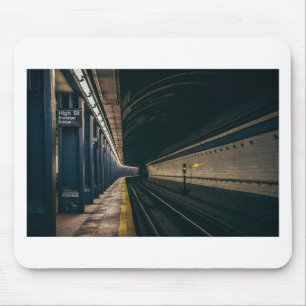 Amerika stadsManhattan Metro Ny Nyc New York Musmatta