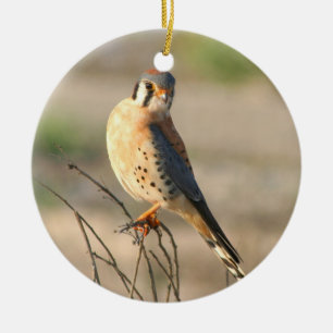 Amerikan Kestel Julgransprydnad Keramik