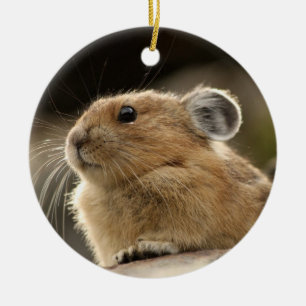Amerikan Pika Julgransprydnad Keramik
