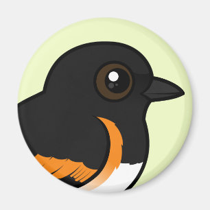 Amerikan Redstart Magnet