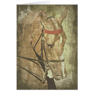 Amerikan Saddlebred Hälsningskort