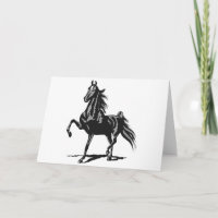 Amerikan Saddlebred