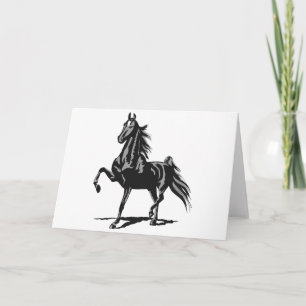 Amerikan Saddlebred Kort