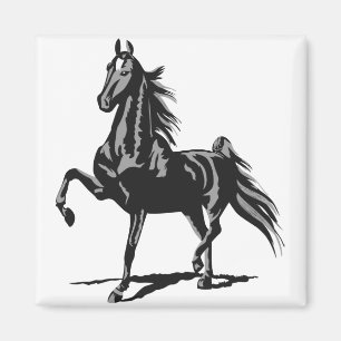 Amerikan Saddlebred Magnet