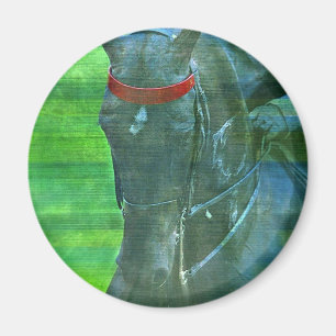 Amerikan Saddlebred Magnet