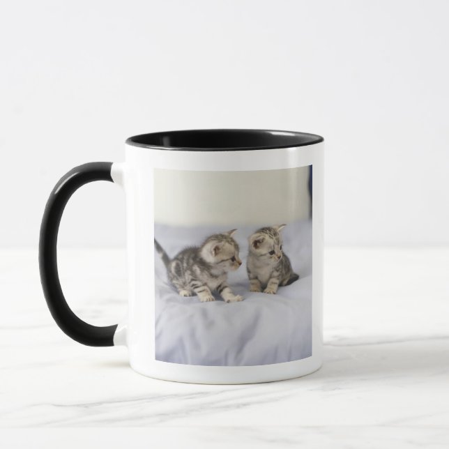 Amerikan Shorthair 7 Mugg (Vänster)