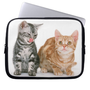 Amerikan Shorthair Laptop Sleeve