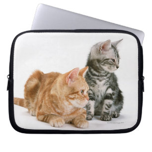 Amerikan Shorthair Laptop Sleeve