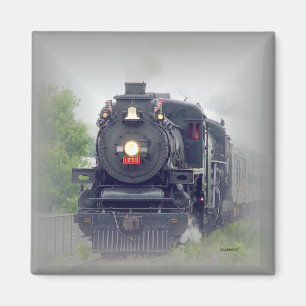 amerikan steamron magnet