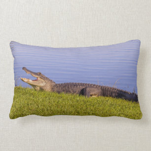 Amerikanalligator Lumbarkudde