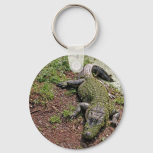 Amerikanalligator Nyckelring