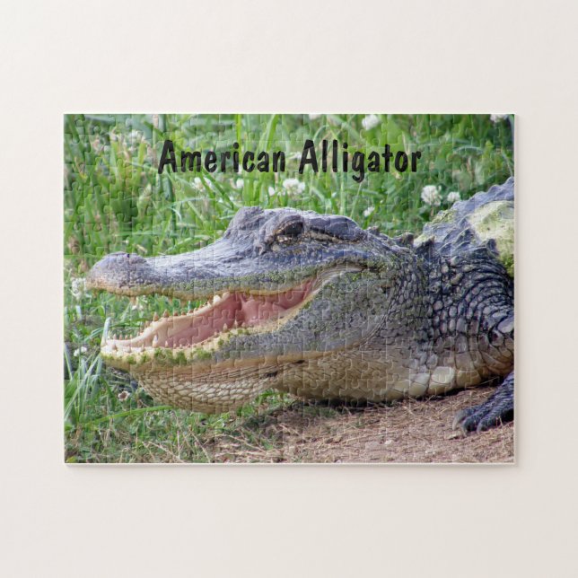 Amerikanalligator Pussel (Horisontell)