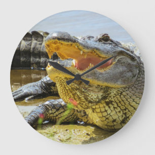 Amerikanalligatoransikte - till - ansikte stor klocka