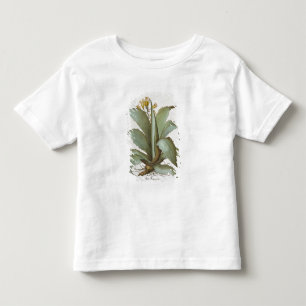 AmerikanAloe: Aloe som är americana, från Tröja