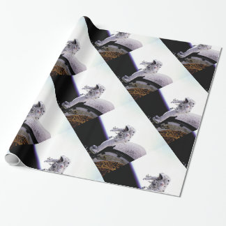 Amerikanastronaut Presentpapper