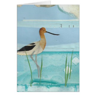 AmerikanAvocet OBS Kort