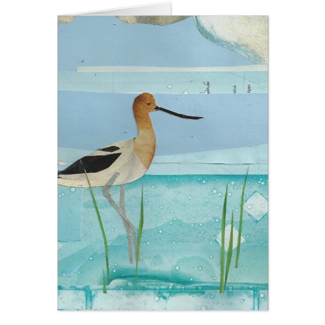 AmerikanAvocet OBS Kort (Framsidan)