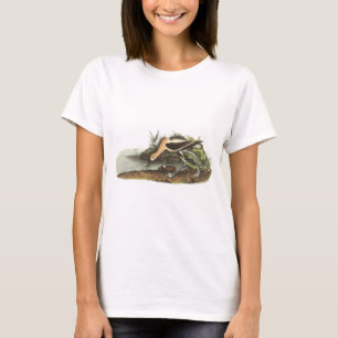 AmerikanAvocet vid Audubon T-shirt