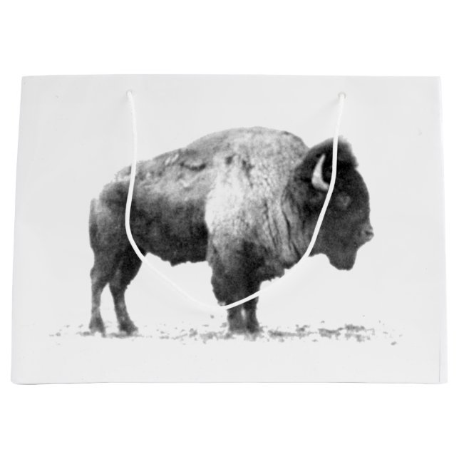 AmerikanBison (Framsidan)