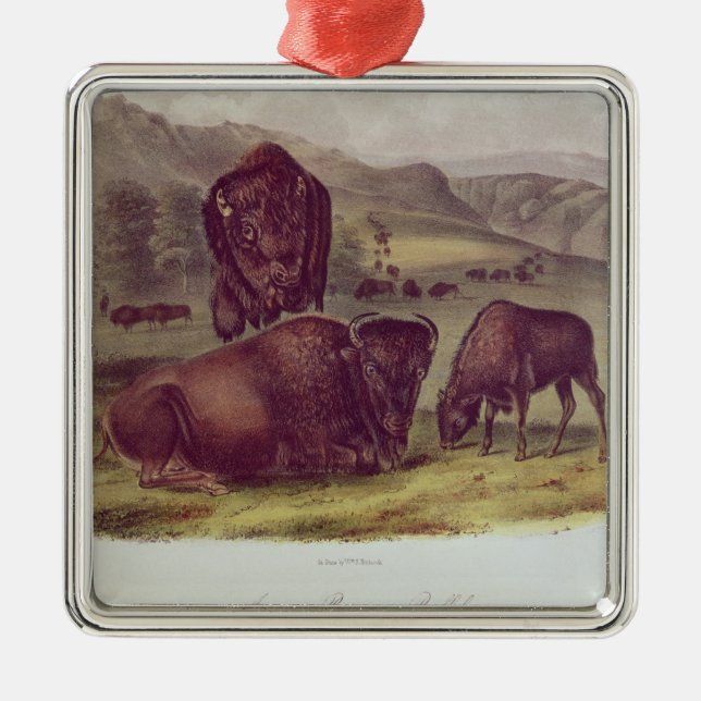 AmerikanBison eller buffel Julgransprydnad Metall (Framsidan)