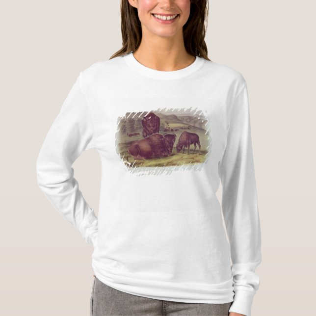 AmerikanBison eller buffel T-shirt (Framsida)