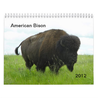 AmerikanBison Kalender