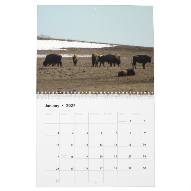 AmerikanBison Kalender (Jan 2027)