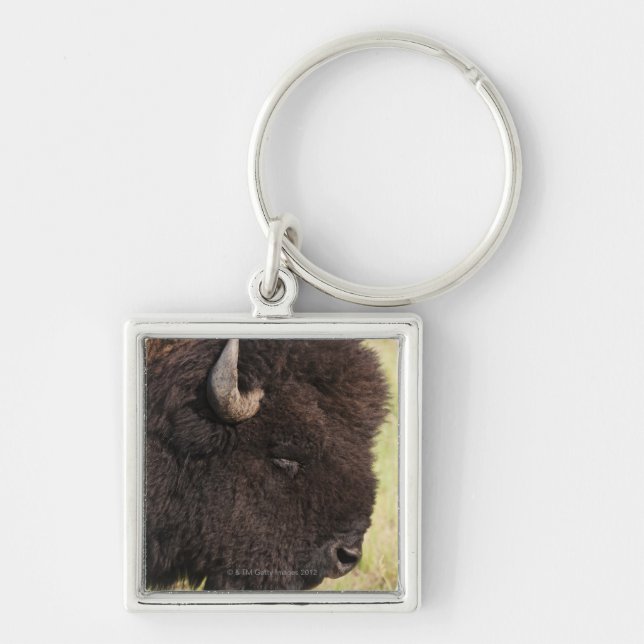 AmerikanBison, South Dakota Fyrkantig Silverfärgad Nyckelring (Framsidan)