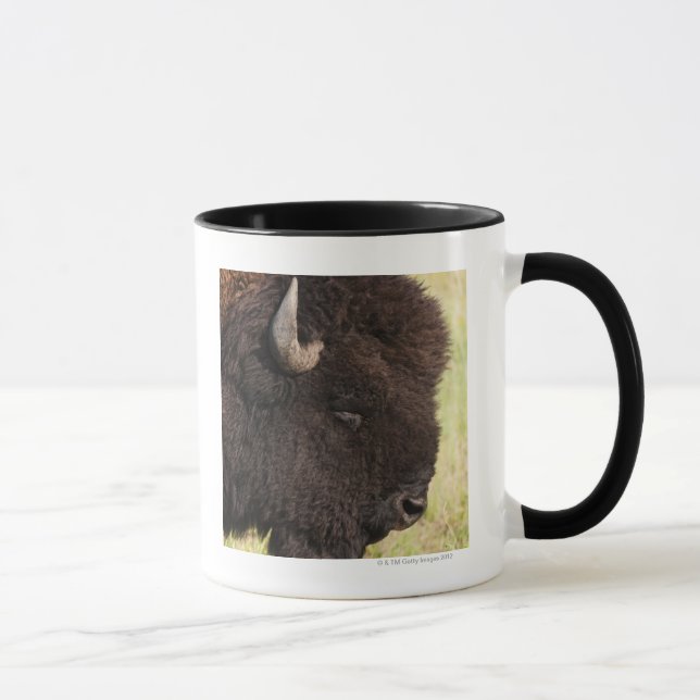 AmerikanBison, South Dakota Mugg (Höger)