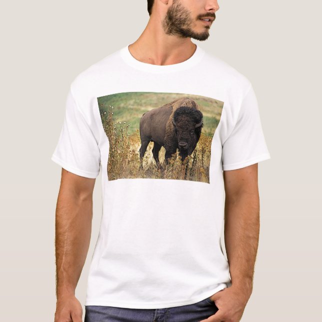 AmerikanBison T Shirt (Framsida)