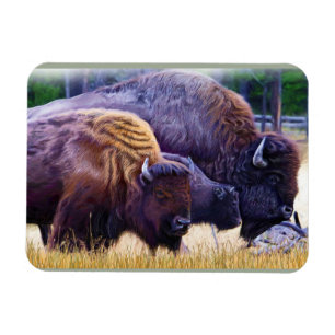 AmerikanBisonfamilj Magnet