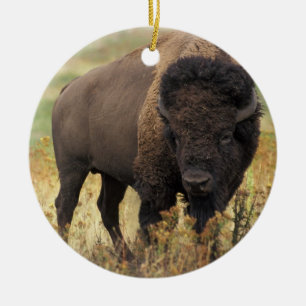 AmerikanBisonprydnad Julgransprydnad Keramik
