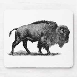 Amerikanbuffel Musmatta