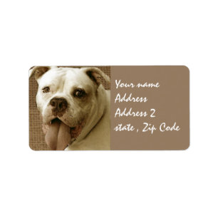 Amerikanbulldogg Adressetikett